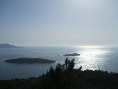 Instruci&oacute;ns para plantar &aacute;rbores en briks.